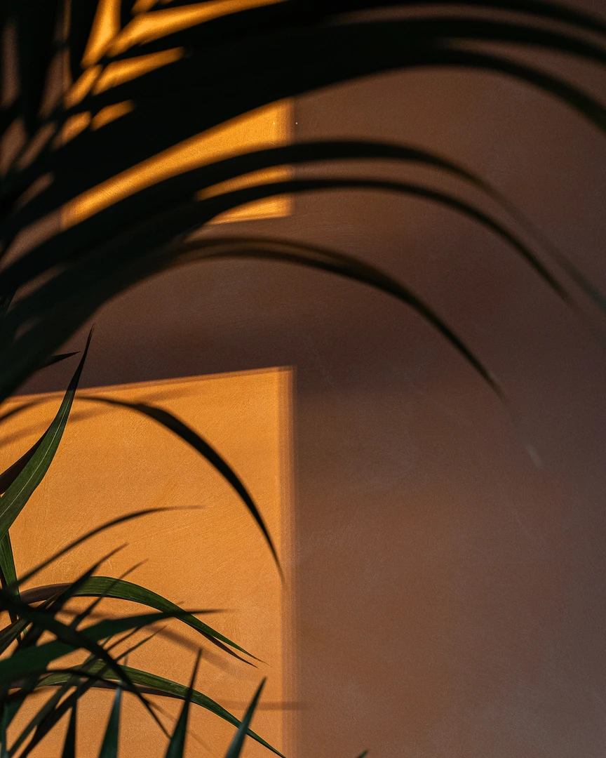 Автор А-СТУДИЯ, дизайнер АННА ИСУПОВА