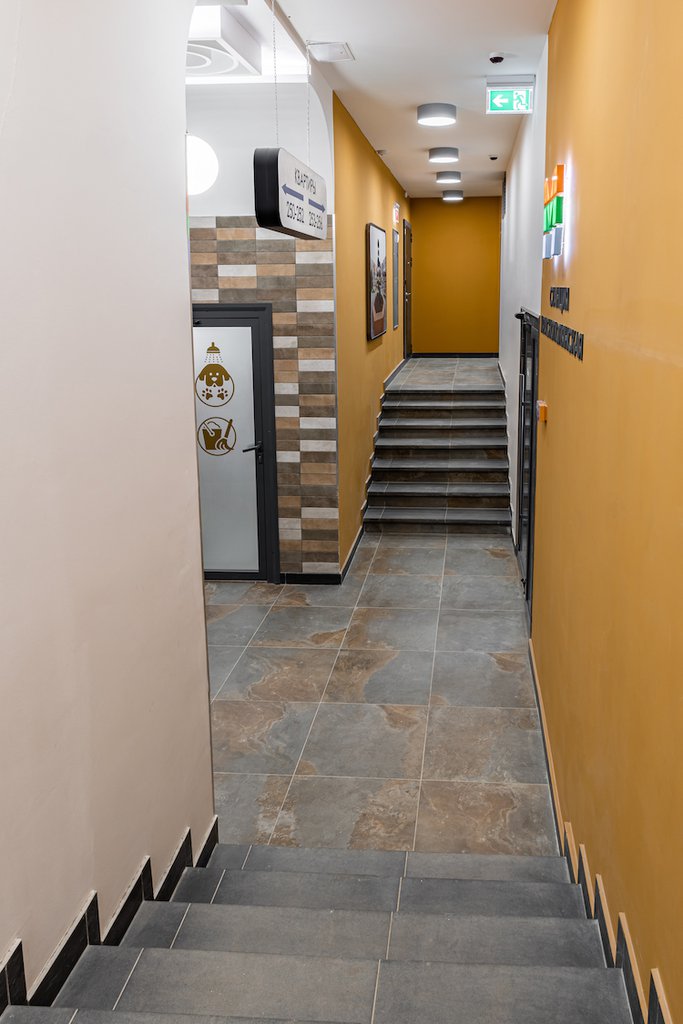 Автор архитектурная студия MIRA