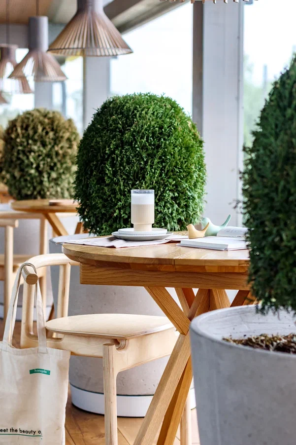 Автор дизайн-студия 5 ЗВЕЗД, руководитель Ольга Трегубова