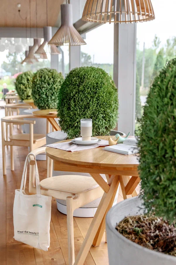 Автор дизайн-студия 5 ЗВЕЗД, руководитель Ольга Трегубова