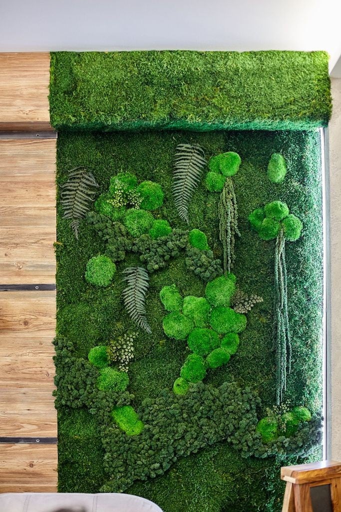 Автор дизайнер АЛИНА ВЕЙНКРОТ