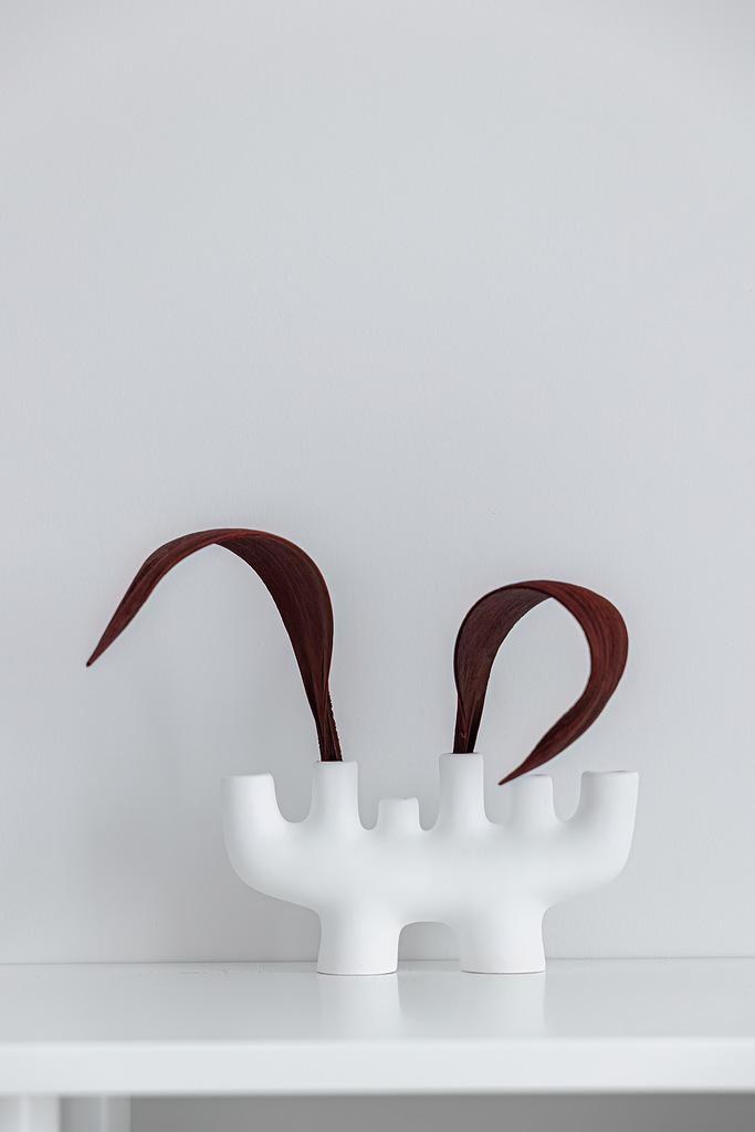 Автор дизайнер АЛИНА ВЕЙНКРОТ