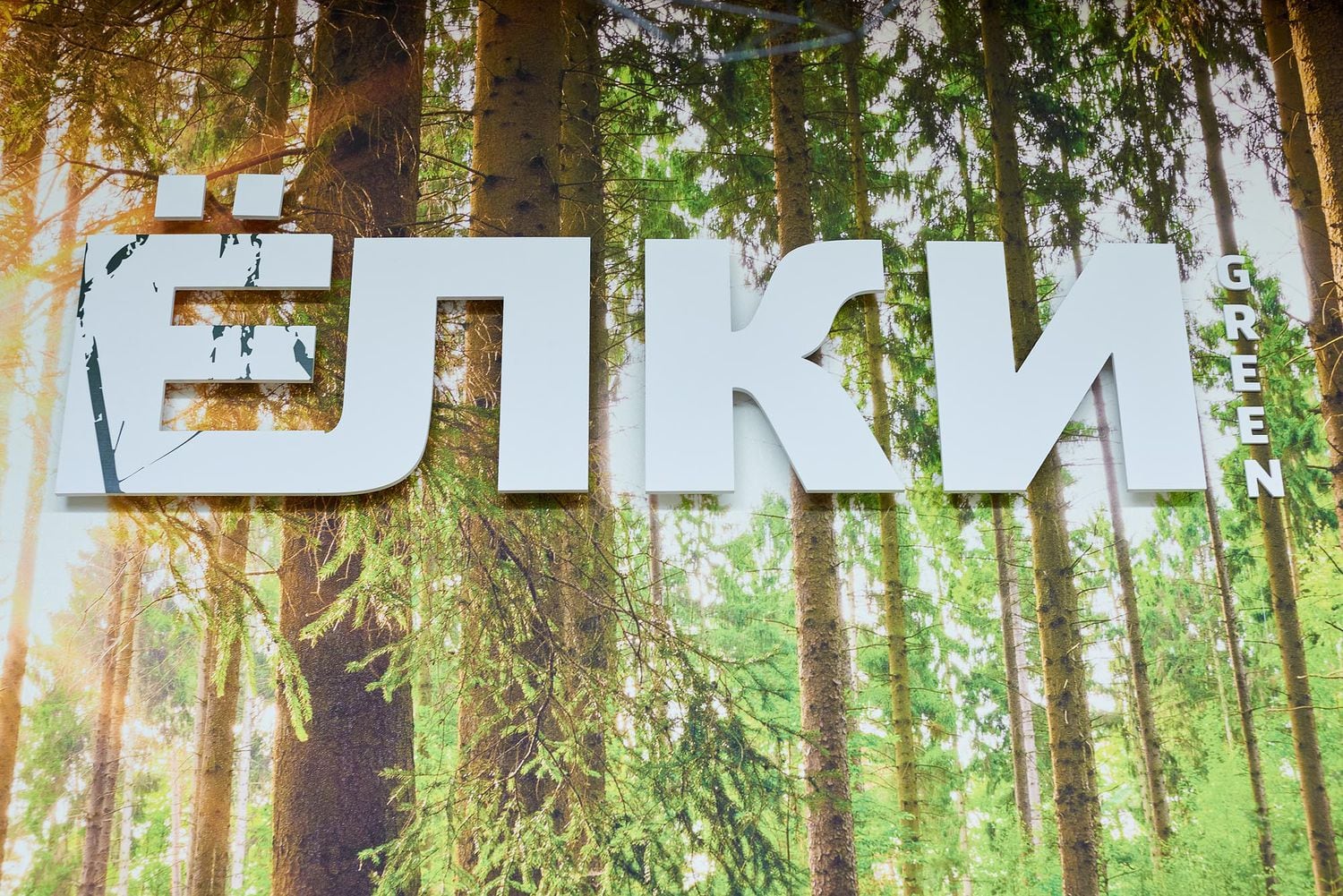 Автор дизайнер НАДЕЖДА ДУБОВЦЕВА