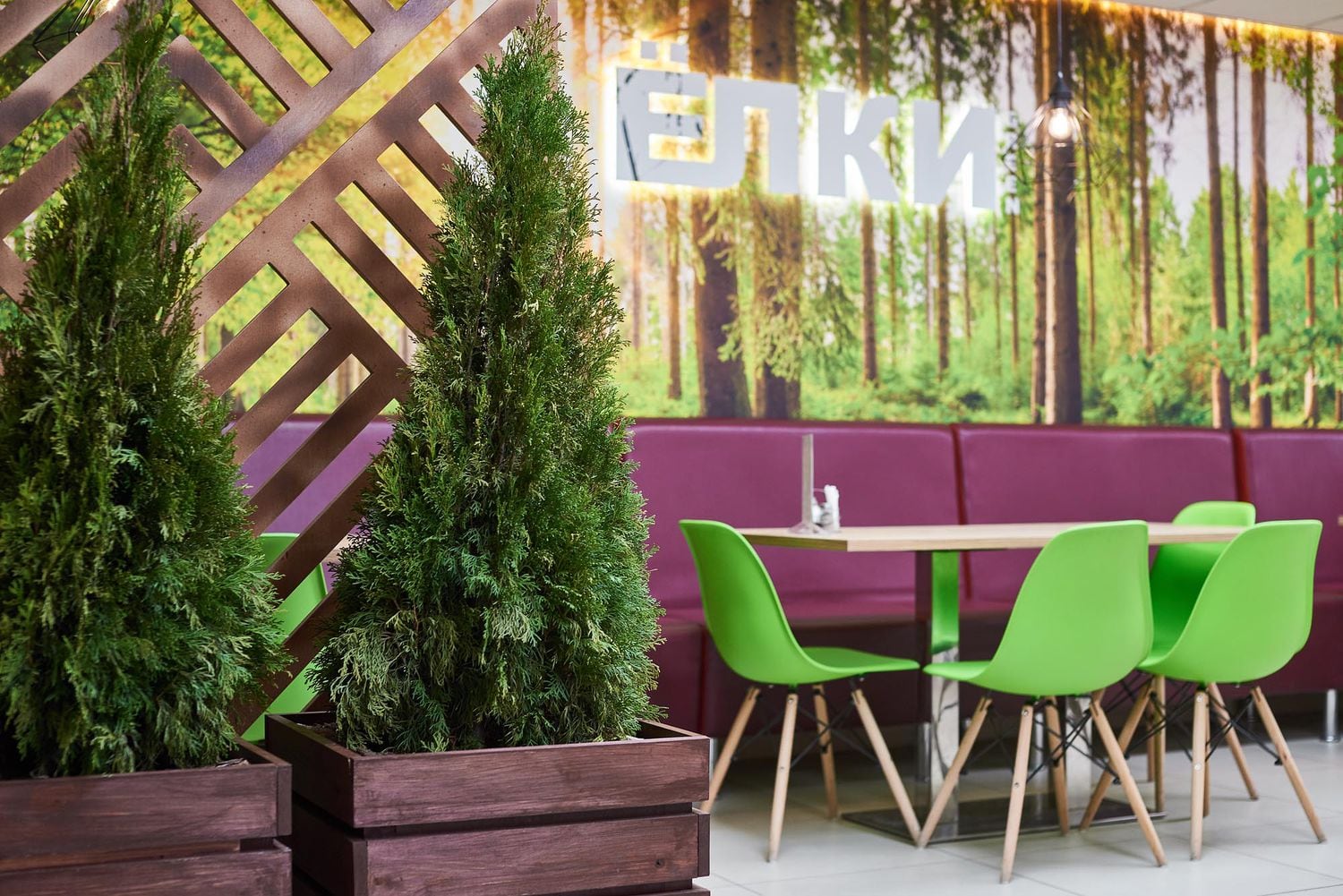 Автор дизайнер НАДЕЖДА ДУБОВЦЕВА