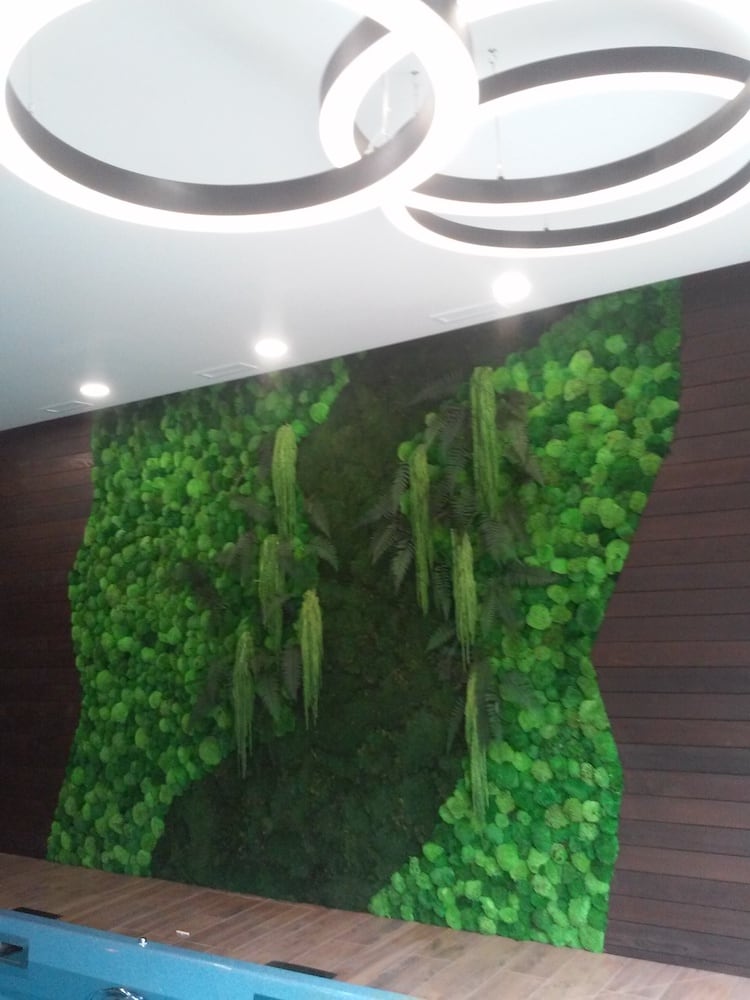 Автор дизайнер ОЛЕГ ЧАРУШИН