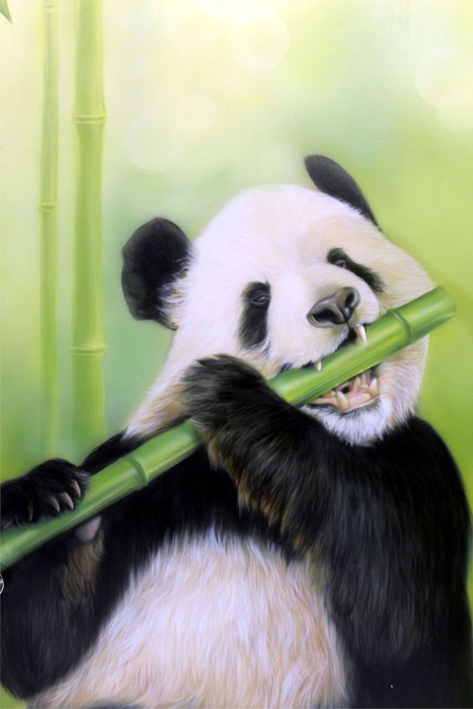 Автор художник-декоратор АЛЕКСЕЙ МАМАЕВ