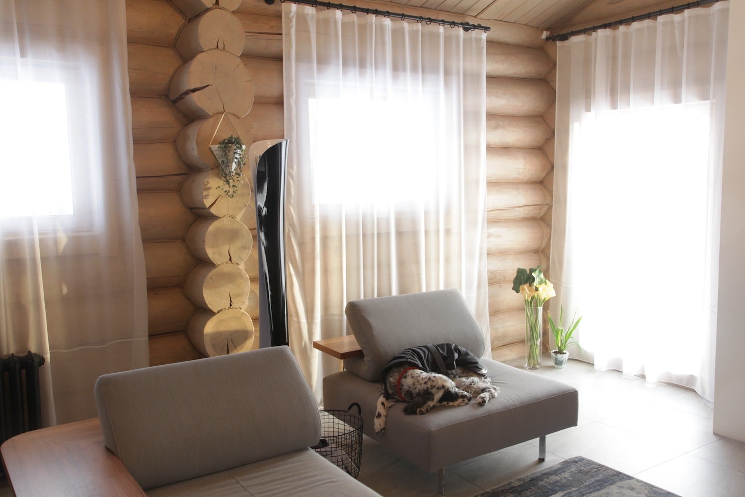 Автор дизайнер ИРИНА КАРПМАН