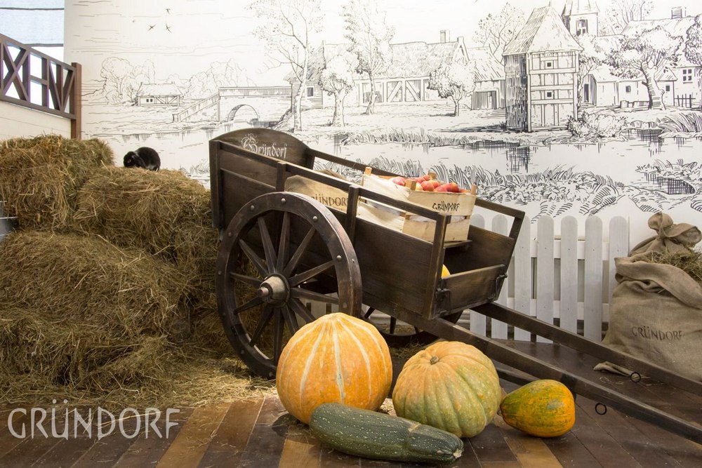 Автор компания SETUS Design, арт-директор Анна Стрижова