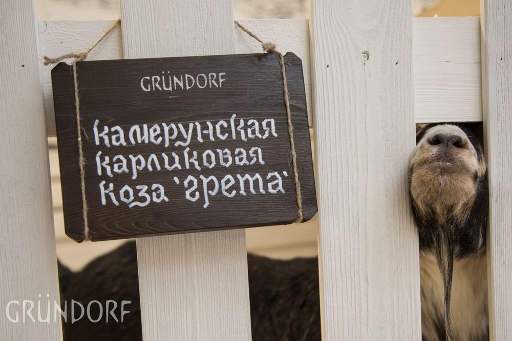 Автор компания SETUS Design, арт-директор Анна Стрижова