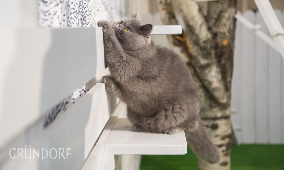 Автор компания SETUS Design, арт-директор Анна Стрижова