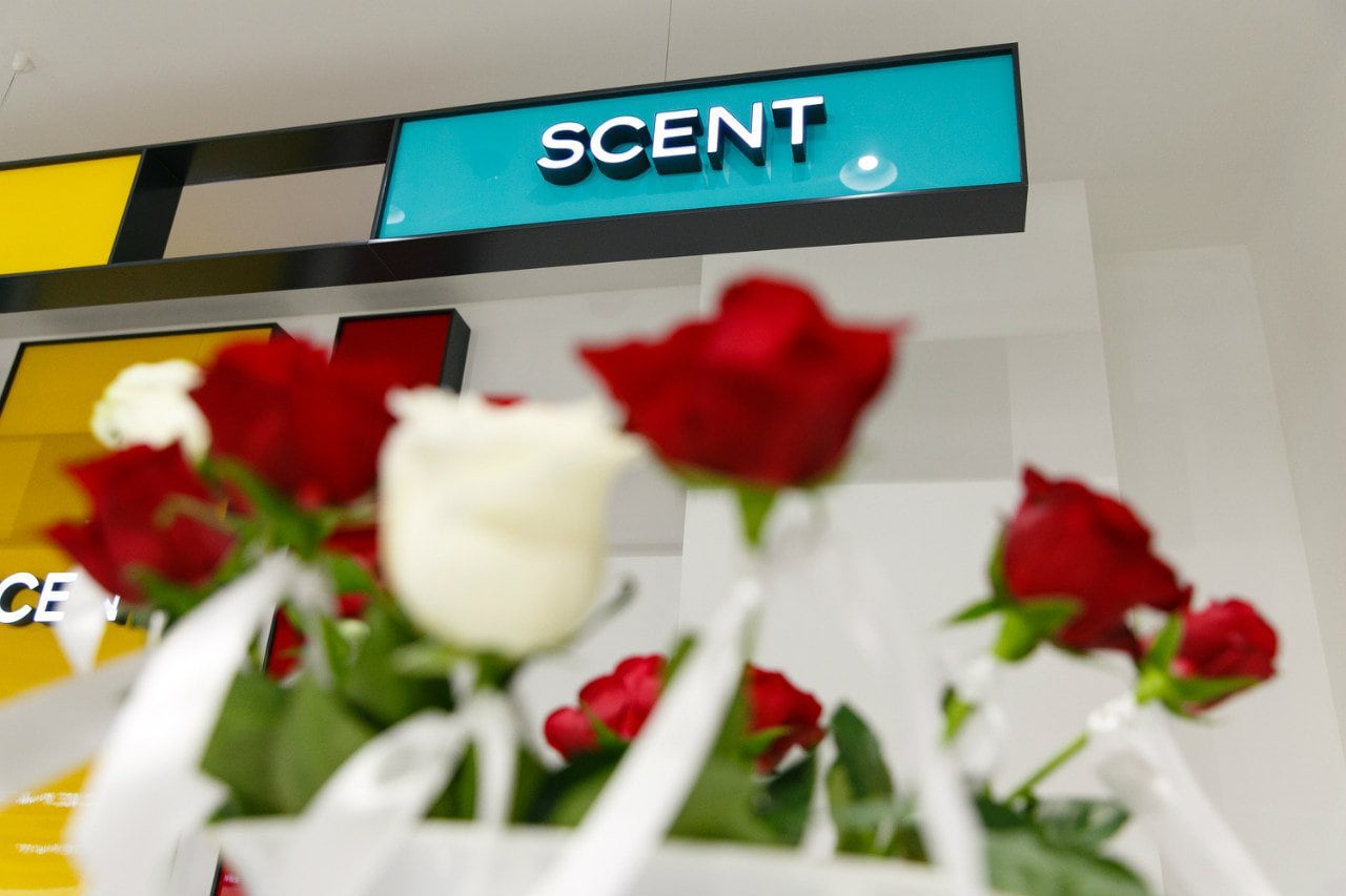 Автор компания SETUS Design, арт-директор Анна Стрижова